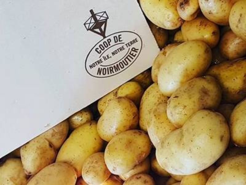 Produits Locaux : Pommes de Terre Grenailles de Noirmoutier